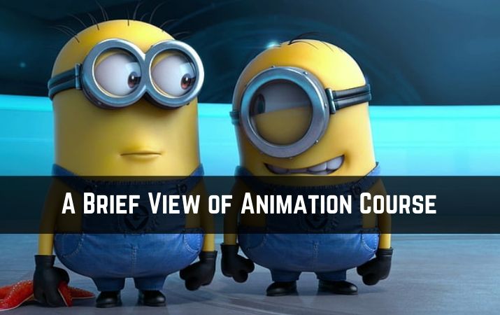 A Brief View of Animation Course